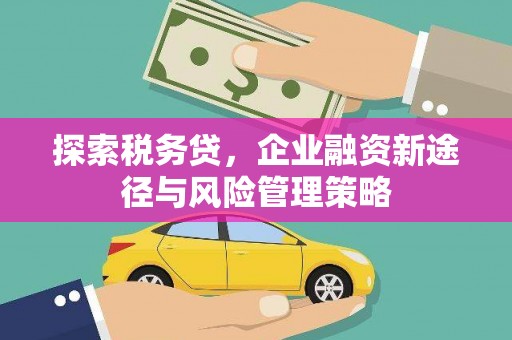 肥西探索税务贷，企业融资新途径与风险管理策略