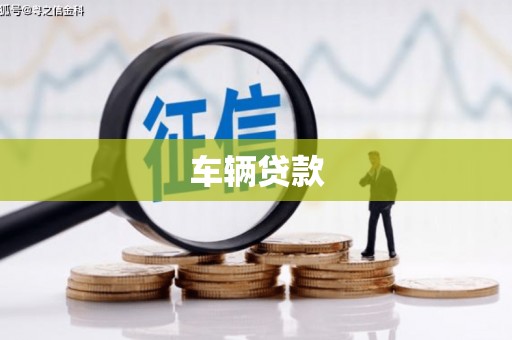 肥西车辆贷款