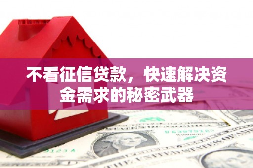 肥西不看征信贷款，快速解决资金需求的秘密武器