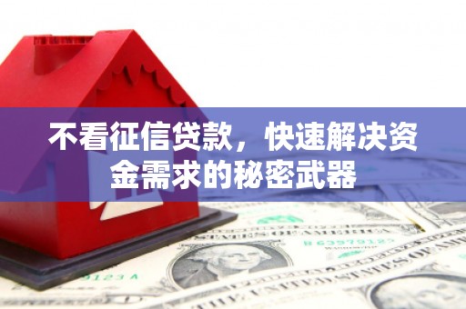肥西不看征信贷款，快速解决资金需求的秘密武器