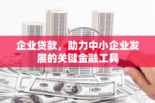 肥西企业贷款，助力中小企业发展的关键金融工具