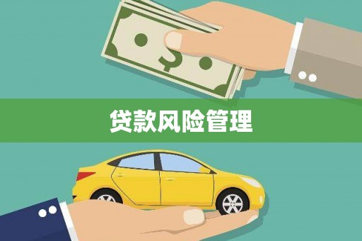 肥西贷款风险管理