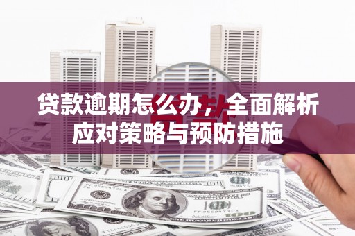 肥西贷款逾期怎么办，全面解析应对策略与预防措施