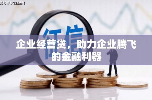肥西企业经营贷，助力企业腾飞的金融利器