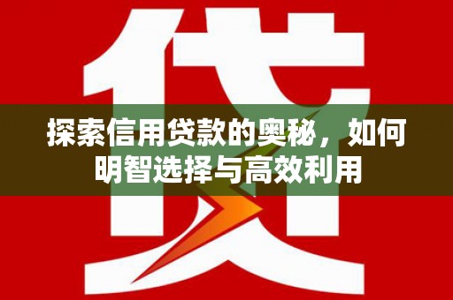 肥西探索信用贷款的奥秘，如何明智选择与高效利用