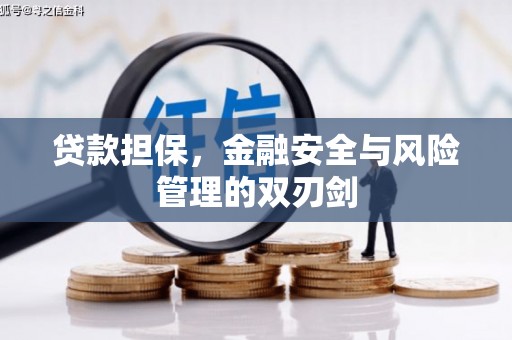 肥西贷款担保，金融安全与风险管理的双刃剑