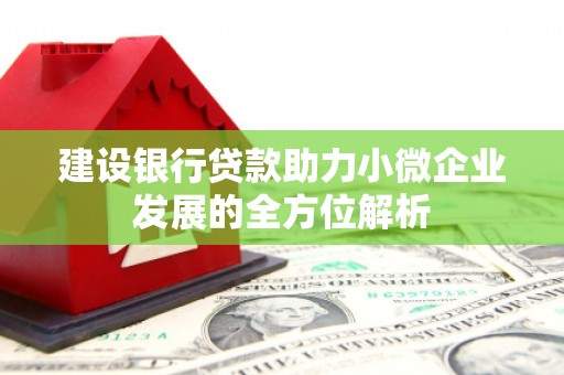 肥西建设银行贷款助力小微企业发展的全方位解析