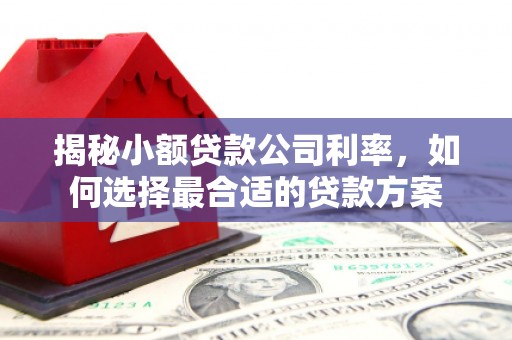 肥西揭秘小额贷款公司利率，如何选择最合适的贷款方案