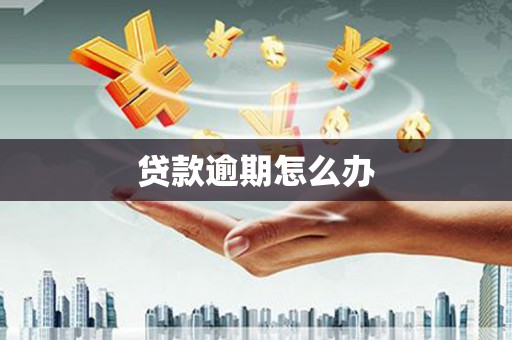 肥西贷款逾期怎么办