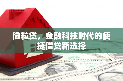 肥西微粒贷，金融科技时代的便捷借贷新选择
