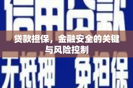 肥西贷款担保，金融安全的关键与风险控制