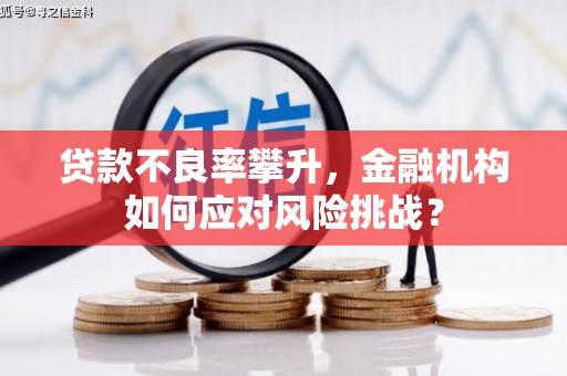 肥西贷款不良率攀升，金融机构如何应对风险挑战？