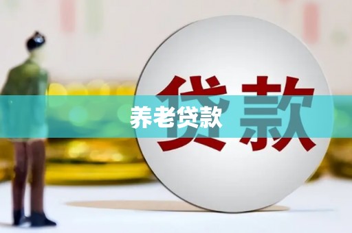 肥西养老贷款