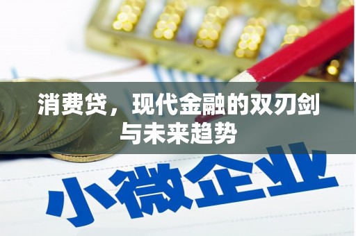 肥西消费贷，现代金融的双刃剑与未来趋势