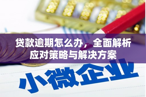肥西贷款逾期怎么办，全面解析应对策略与解决方案